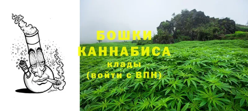 Каннабис THC 21%  mega сайт  Ноябрьск 